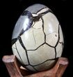 Septarian Dragon Egg Geode - Black Crystals #34711-1